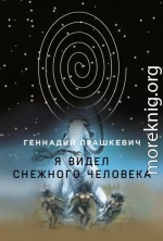 Я видел снежного человека