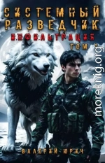 Системный разведчик. Инфильтрация. Том 1