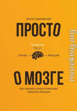 Просто о мозге. Как знания о мозге помогают получить больше