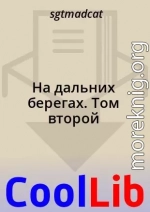 На дальних берегах. Том второй