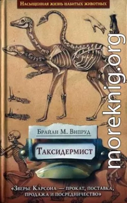 Таксидермист