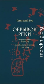 Обрывок реки