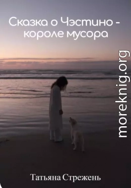 Сказка о Чэстино – короле мусора