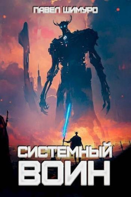 Системный воин. Том l