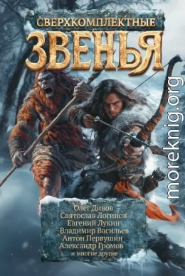 Сверхкомплектные звенья