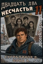 Двадцать два несчастья 11