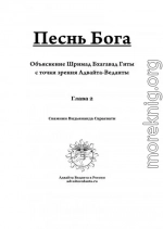 Бхагавад Гита. Глава вторая. Коментарий Свамини Видьянанды Сарасвати