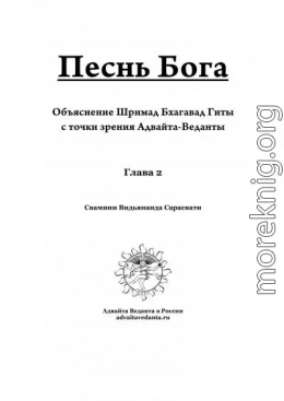 Бхагавад Гита. Глава вторая. Коментарий Свамини Видьянанды Сарасвати