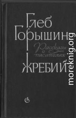 Жребий. Рассказы о писателях