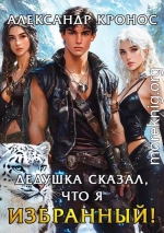 Дедушка сказал, что я избранный! Книга 2