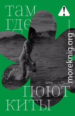 Там, где поют киты