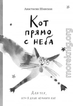 Кот прямо с неба