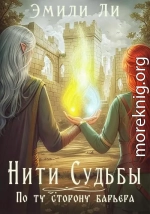 По ту сторону барьера