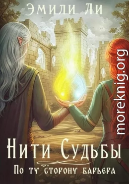 По ту сторону барьера