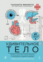 Удивительное тело. Почему наше тело самое нелепое и гениальное создание природы
