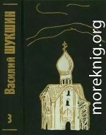 Том 3. Рассказы 70-х годов