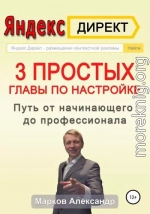 Яндекс.Директ. 3 простых главы по настройке. Путь от начинающего до профессионала