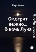 Смотрит нежно… В ночь Луна