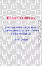 Homer's Odyssey