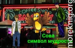 Сова - символ мудрости (СИ)