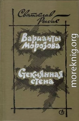 Варианты Морозова. Стеклянная стена