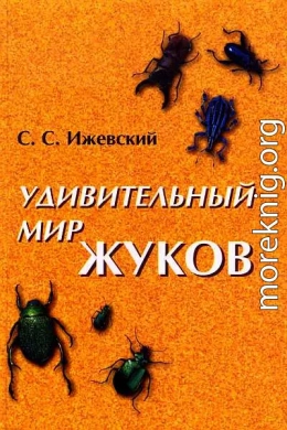 Удивительный мир жуков