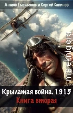 Крылатая война 1915. Книга 2