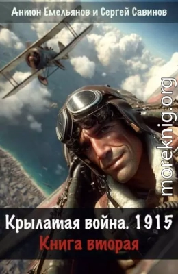 Крылатая война 1915. Книга 2