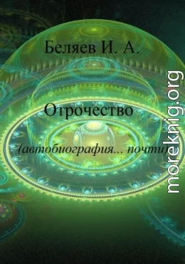 Отрочество. Автобиография… почти. Книга вторая. Цикл «Додекаэдр. Золотой аддон»