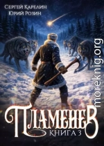 Пламенев. Книга 3