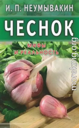 Чеснок. Мифы и реальность