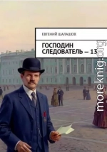 Господин следователь. Книга 13