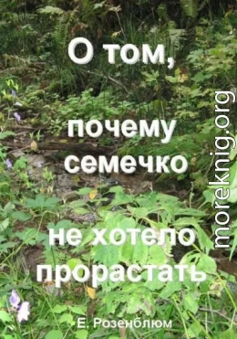 О том, почему семечко не хотело прорастать