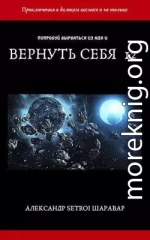 Вернуть себя. Том 12