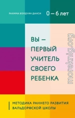 Вы – первый учитель своего ребенка. Методика раннего развития Вальдорфской школы
