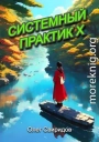 Системный практик X