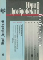 Том 6. Гонцы; Моя нестерпимая быль; Статьи, очерки, воспоминания; Приложение