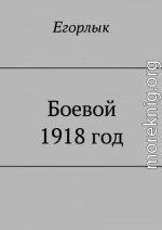 Боевой 1918 год