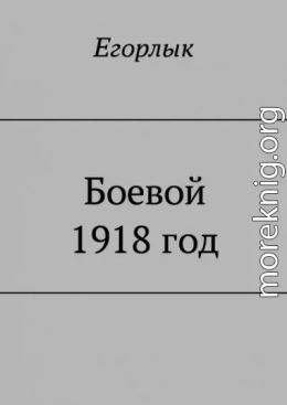 Боевой 1918 год