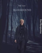 Bloodhound (СИ)